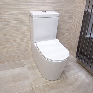 Complete view of a toilet