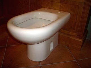 Image of a toilet bowl without its seat